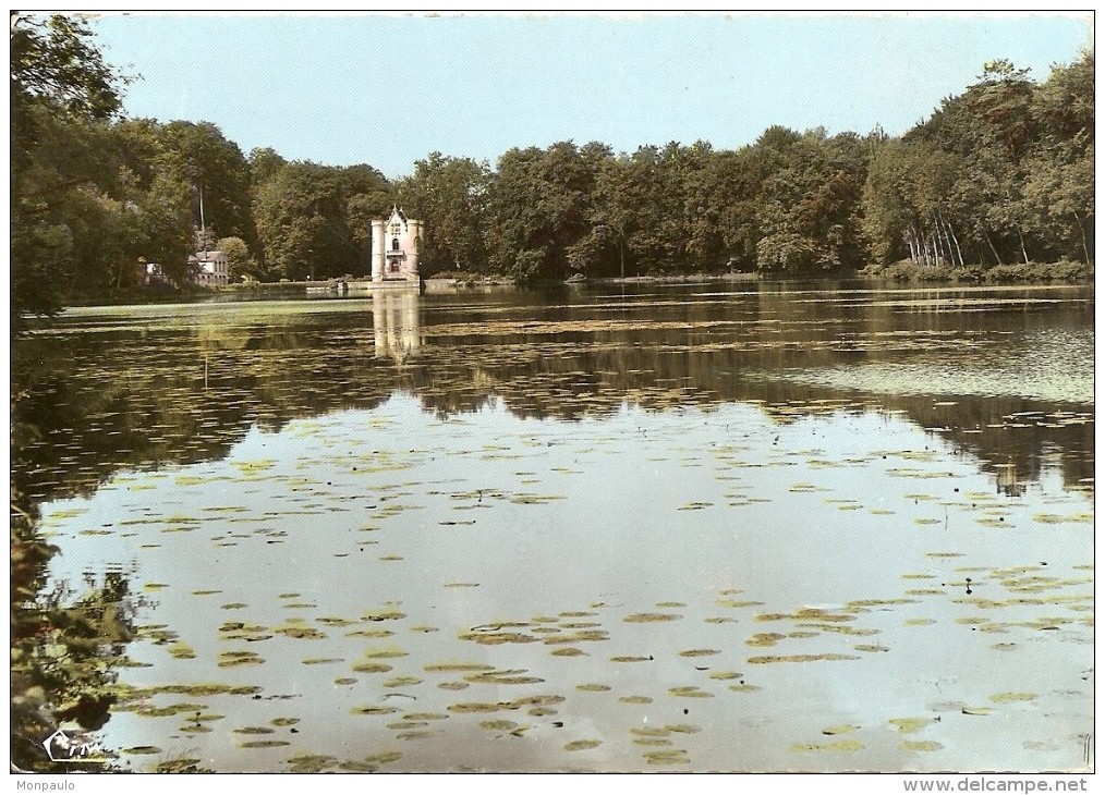 60. CPSM. Oise. Coye-la-Forêt. Les étangs De La Reine Blanche - Sainte-Geneviève