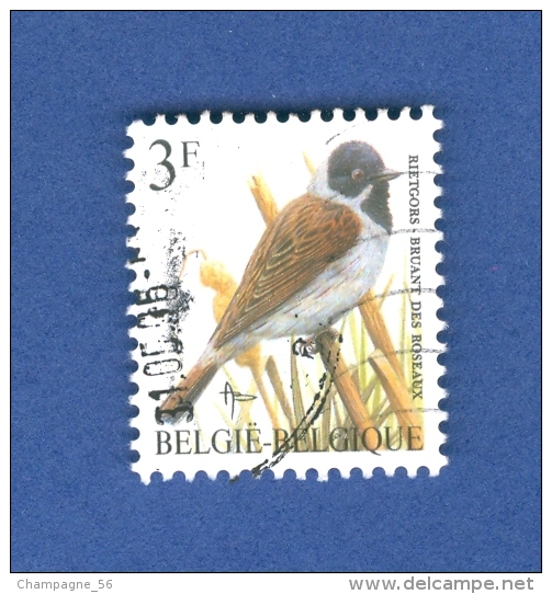 BELGIQUE ANNÉE 1991 N° 2425 OISEAUX  BRUANT DES ROSEAUX   OBLITÉRÉ - Spatzen