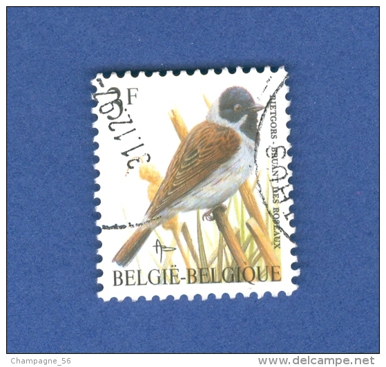 BELGIQUE ANNÉE 1991 N° 2425 OISEAUX  BRUANT DES ROSEAUX   OBLITÉRÉ - Moineaux