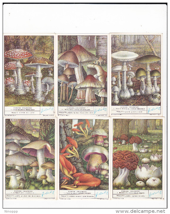 ItaliaLiebig Cards 1950  Funghi Velenosi  Serie - Liebig