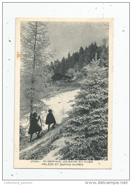 Cp , Arbres , 74 , SAINT GERVAIS LES BAINS En Hiver , Méléze Et Sapins Givrés , écrite , Ed : Braun - Arbres