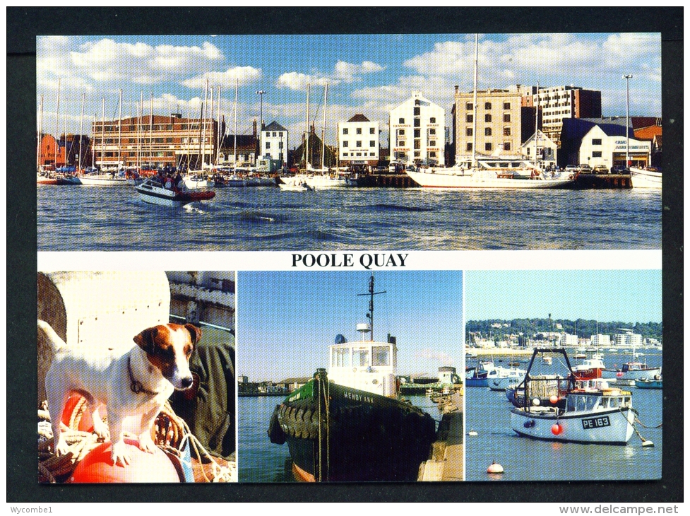 ENGLAND  -  Poole  The Quay  Multi View  Unused Postcard As Scan - Other & Unclassified