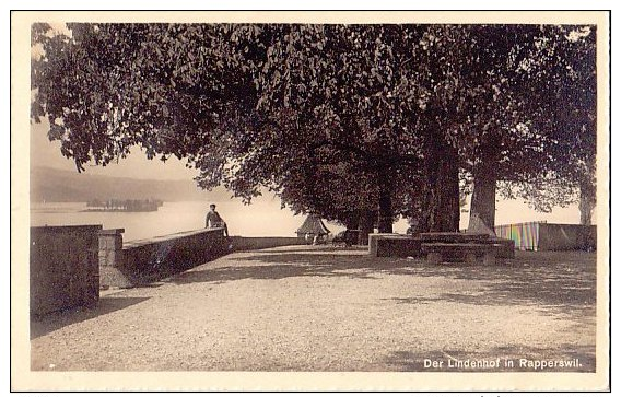 Zürich (ZH) Lindenhof Im Rapperswil, Bekämpfung Tuberkulose Schweiz, Vignette, 5x3cm, Lichtdruck, Ca. 1915    ***29632 - Zürich