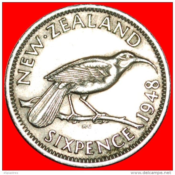 + BIRD: NEW ZEALAND &#9733; 6 PENCE 1948! LOW START &#9733; NO RESERVE!  George VI (1937-1952) - Nouvelle-Zélande