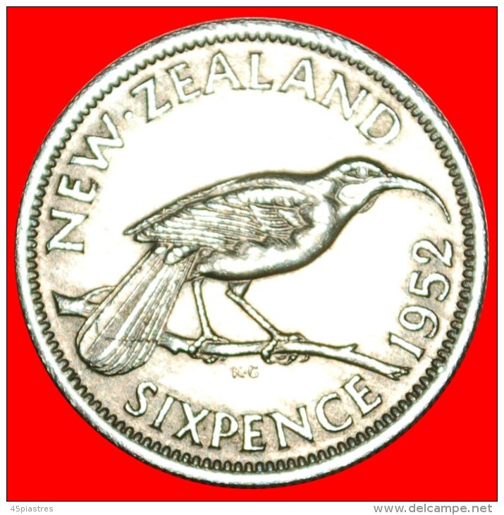 + BIRD: NEW ZEALAND&#9733; 6 PENCE 1952! UNCOMMON IN THIS CONDITION! LOW START &#9733; NO RESERVE!  George VI (1937 - Nueva Zelanda