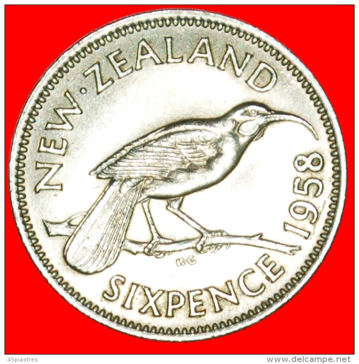 + DRESSED QUEEN: NEW ZEALAND ★ 6 PENCE 1958! NICELY TONED! LOW START ★ NO RESERVE! - Nueva Zelanda