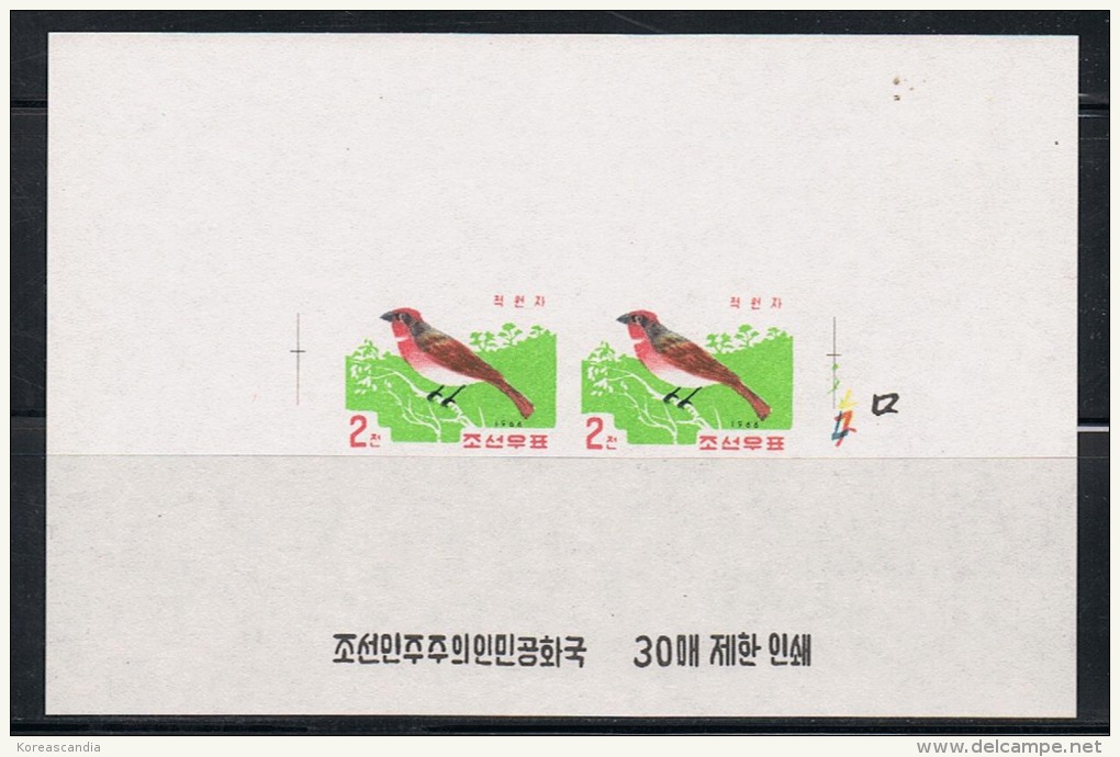 NORTH KOREA 1966 RARE PROOF OF SCARLET-FINCH BIRD - Fehldrucke