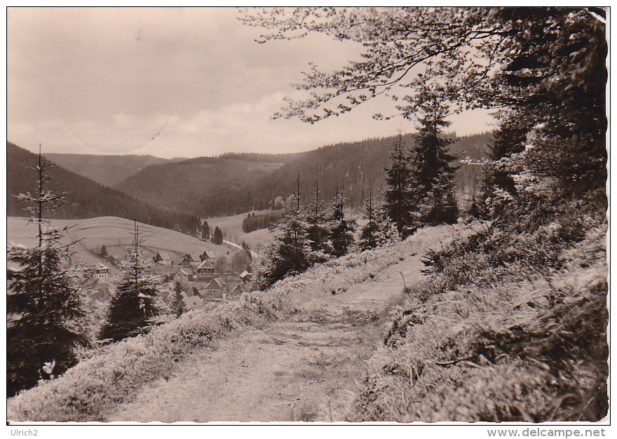 AK Wildenthal - Erzgebirge - 1961 (20210) - Eibenstock