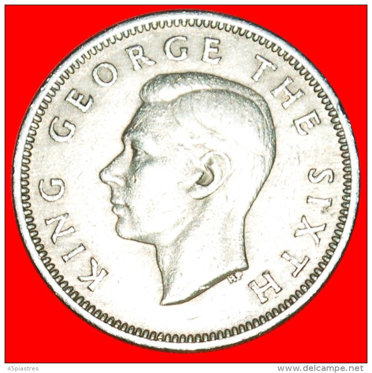 + MAORI WARRIOR (1948-1952): NEW ZEALAND ★ 1 SHILLING 1951! LOW START ★ NO RESERVE! George VI (1937-1952) - New Zealand