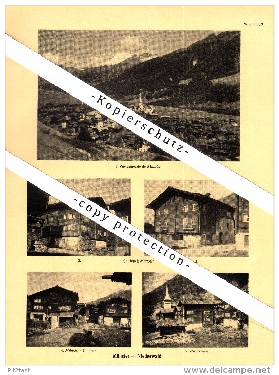 Photographien / Ansichten , 1935 , Münster , Niederwald , Prospekt , Architektur , Fotos !!! - Niederwald