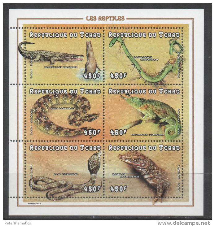 CHAD,1998, MNH, REPTILES, SNAKES, CROCODILES, CHAMELEON, SHEETLET - Snakes