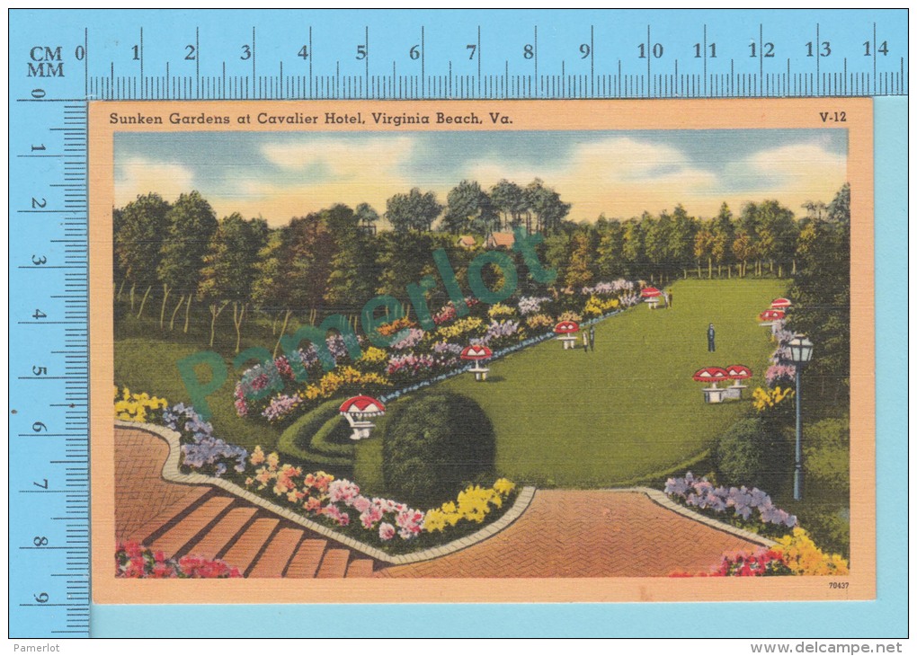 USA Virginia ( Sunken Gardens At Cavalier Hotel Virginia Beach ) Linen Postcard CPSM 2 Scans - Virginia Beach