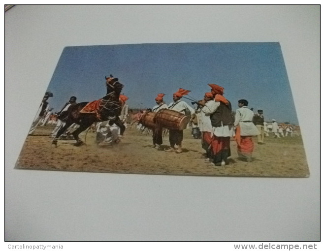 STORIA POSTALE FRANCOBOLLO COMMEMORATIVO PAKISTAN  HORSE DANCING SHOW LAHORE - Pakistan