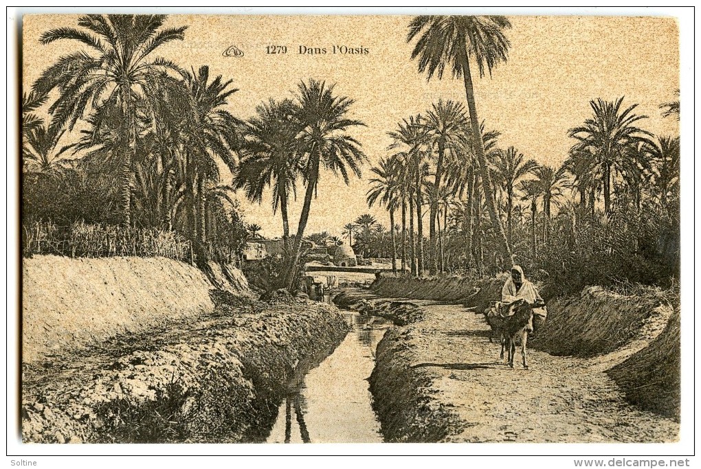 Dans L'Oasis - Afrique Du Nord  - Ruisseau, âne - Sépia Non écrite - 2 Scans - Autres & Non Classés