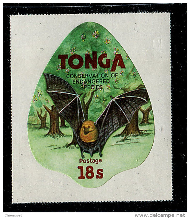 (cl. 2 - P.46) Tonga **  N° 440 (ref. Michel Au Dos) Chauve-souris - - Tonga (1970-...)