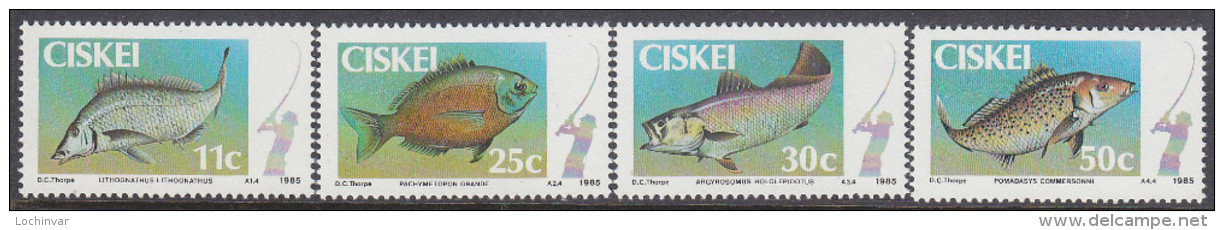 CISKEI, 1985 FISH 4 MNH - Ciskei