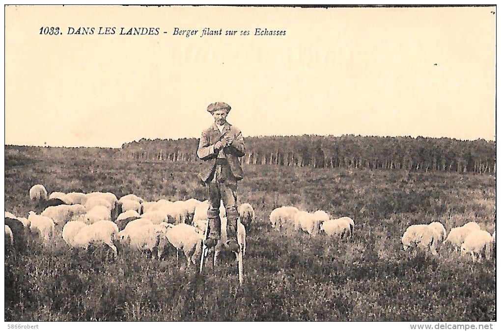 CARTE POSTALE ORIGINALE ANCIENNE : BERGER FILANT SUR DES ECHASSES MOUTONS  ANIMEE  LANDES (40) - Viehzucht