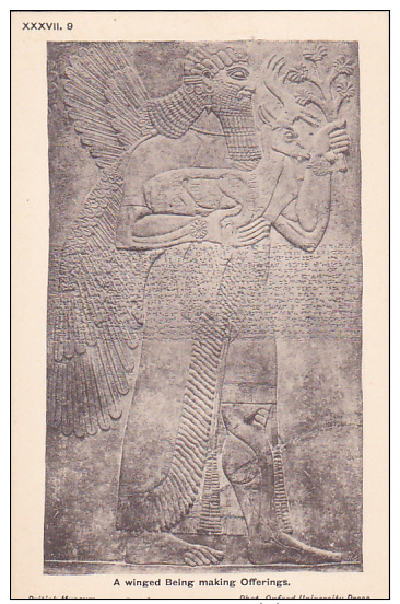 Palace Of Assur Wall Panel , Iraq , 00-10s : Winged Being Making Offerings - Irak