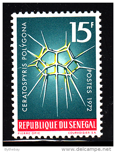 Senegal MNH Scott #377 15fr Ceratospyris Polygona - Sénégal (1960-...)