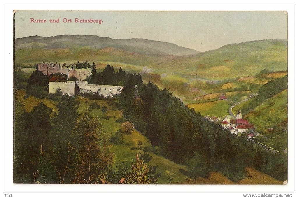 S3763 - Ruine Und Ort Reinsberg - Reinsberg (Sachsen)