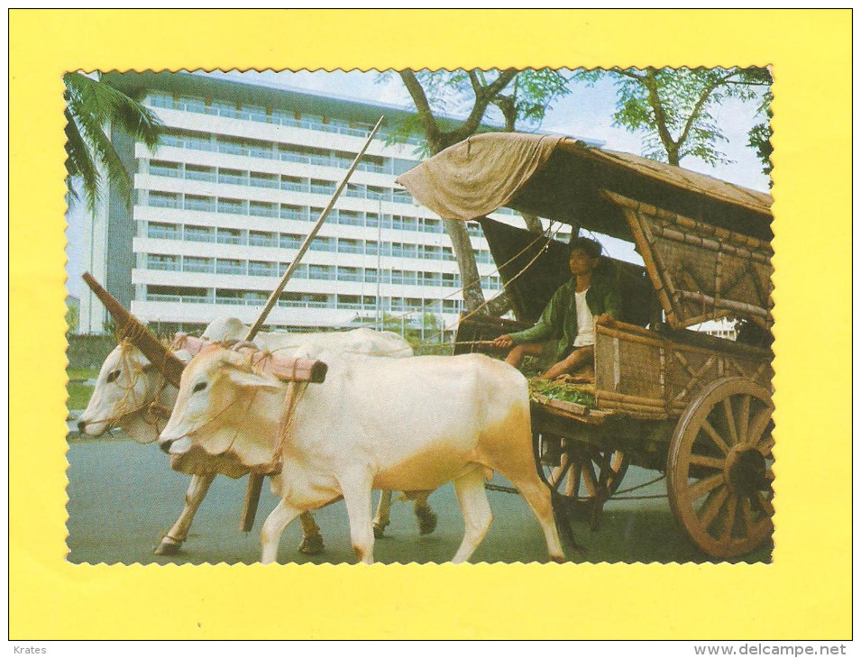 Postcard - Indonesia     (V 27237) - Indonesien