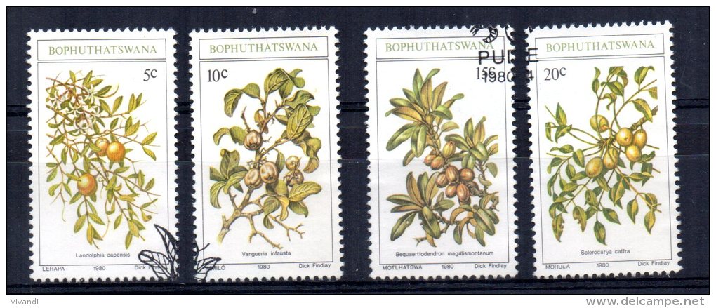 Bophuthatswana - 1980 - Edible Wild Fruits - Used - Bophuthatswana