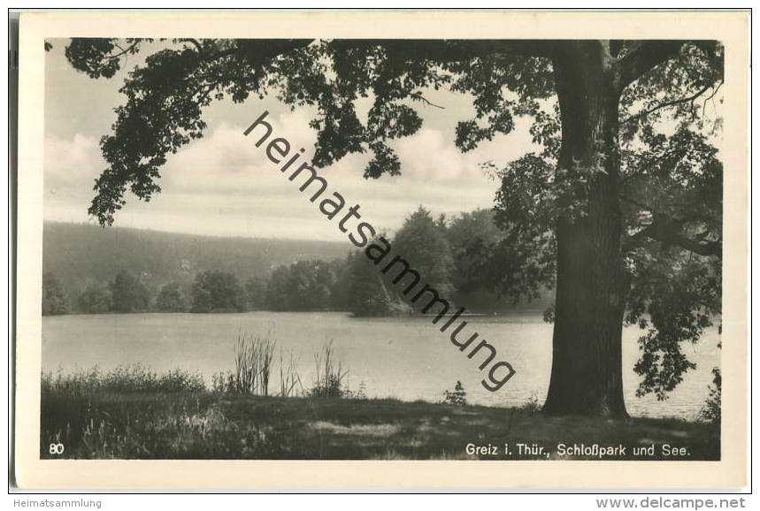 Greiz - Schlosspark - See - Foto-Ansichtskarte - Verlag Trinks & Co Leipzig - Greiz