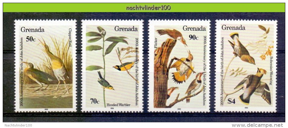 Nbm0509 FAUNA VOGELS AUDUBON BIRDS VÖGEL AVES OISEAUX GRENADA 1985 PF/MNH - Collections, Lots & Series