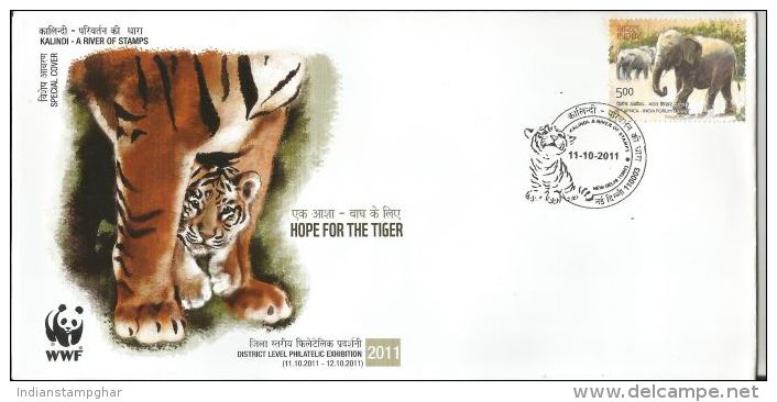 WWF 2011, Special Cover Special Cover Kalindi - A River Of Stamps, Tiger, Tigers, WWF, Wildlife Conservation - Lettres & Documents