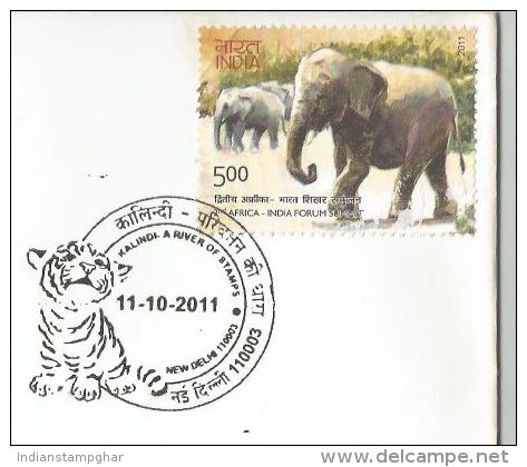 WWF 2011, Special Cover Special Cover Kalindi - A River Of Stamps, Tiger, Tigers, WWF, Wildlife Conservation - Storia Postale