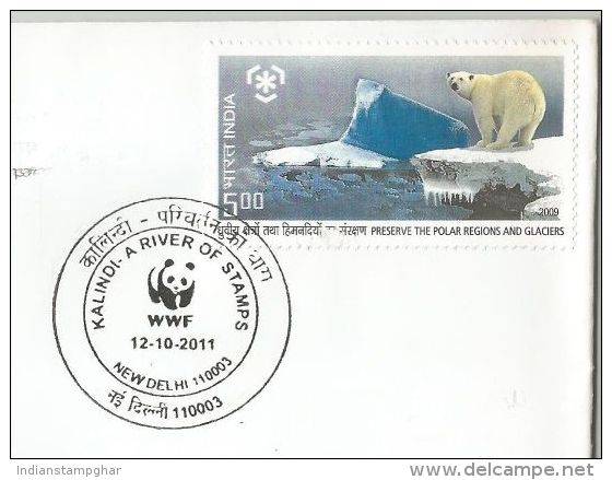 WWF 2011, Special Cover Special Cover Kalindi -Tiger Animal Wild Life Mammals WWF, Wildlife Conservation - Lettres & Documents