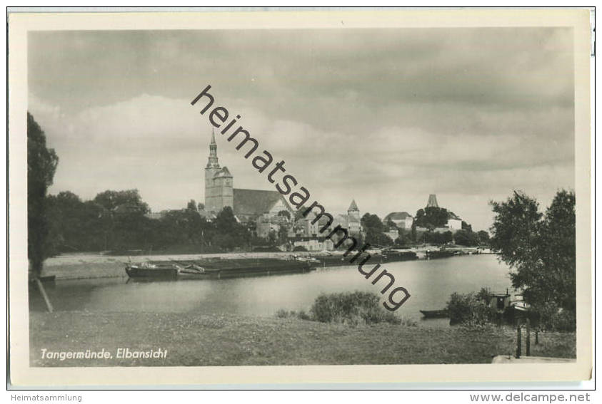 Tangermünde - Elbansicht - Foto-Ansichtskarte 50er Jahre - Verlag Trinks & Co Leipzig - Tangermuende