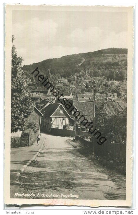 Bleicherode - Vogelberg - Foto-Ansichtskarte 50er Jahre - Verlag Trinks & Co Leipzig - Bleicherode