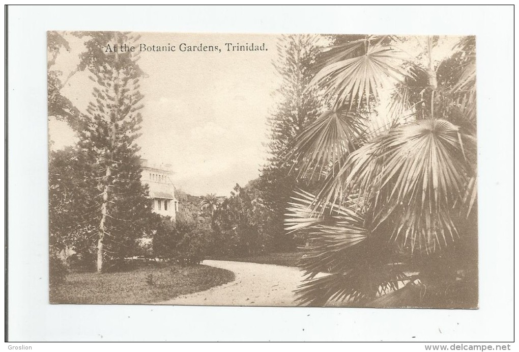 AT THE BOTANIC GARDENS TRINIDAD 1916 - Trinidad