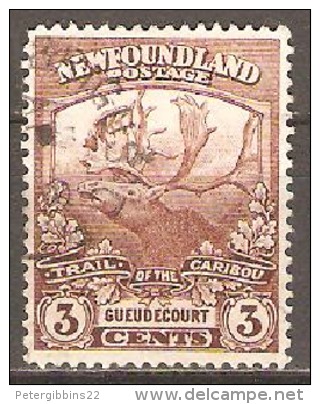 Newfoundland 1919 SG 132 Fu - 1857-1861