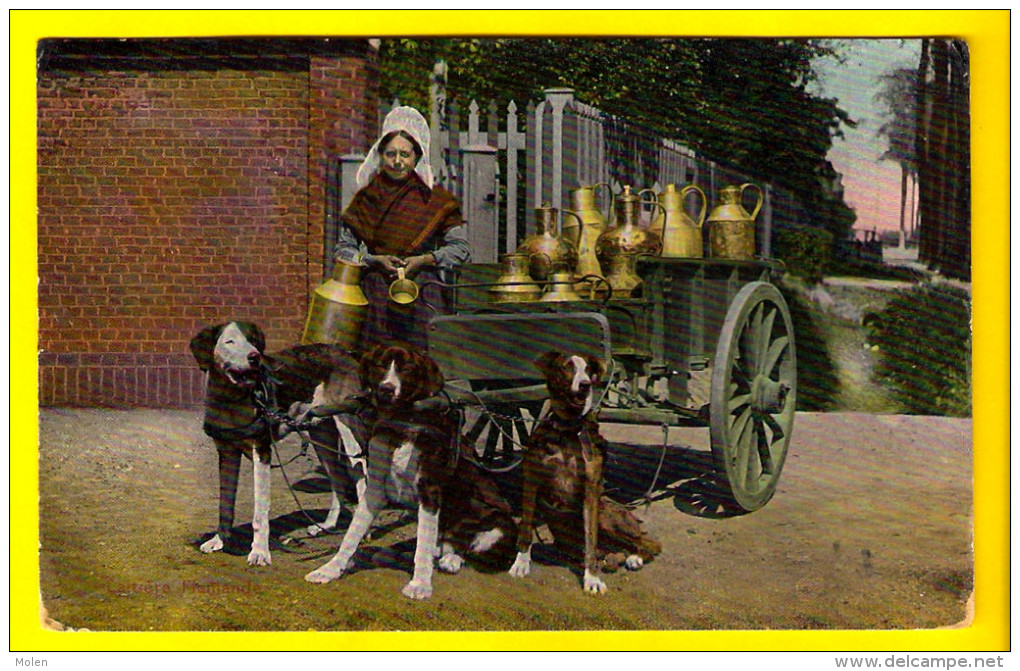 ATTELAGE DE CHIEN LAITIERE FLAMANDE HONDENKAR VLAAMS MELKMEISJE Dog Drawn Cart HONDEKAR Voiture à Chiens LAIT 3177 - Autres & Non Classés