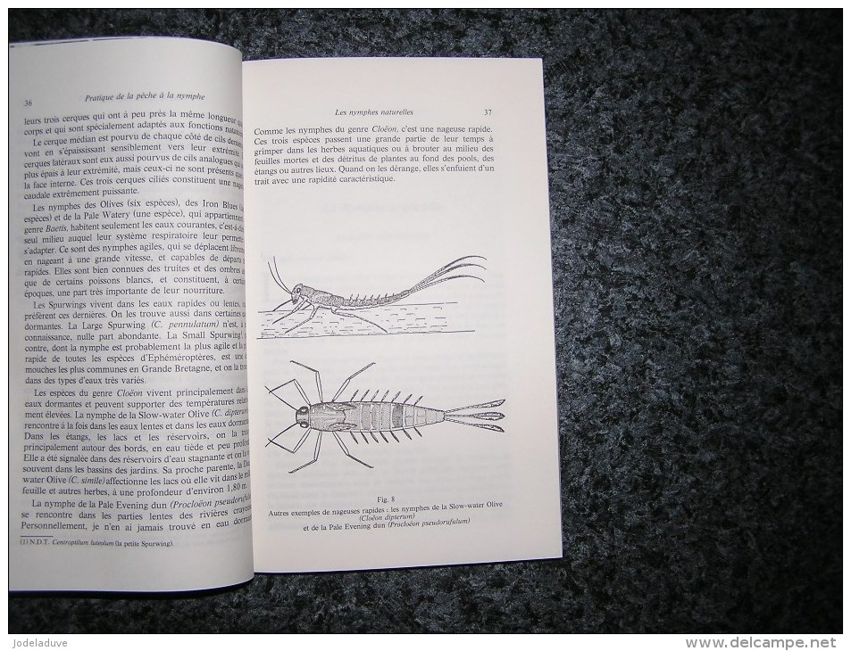 PRATIQUE DE LA PÊCHE A LA NYMPHE Kite Olivier Pêches Poissons Pêcheur Matériel  Connaissance Espèces - Chasse/Pêche