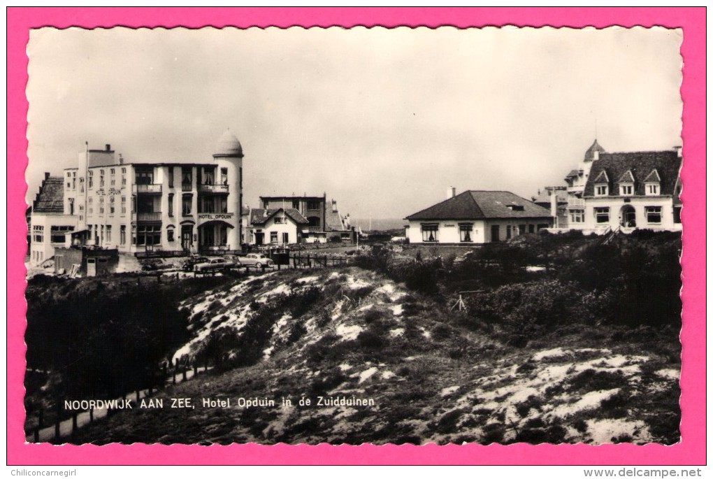 Noordwijk Aan Zee - Hotel Opduin In De Zuidduinen - ROOS N° 1005 - Noordwijk (aan Zee)