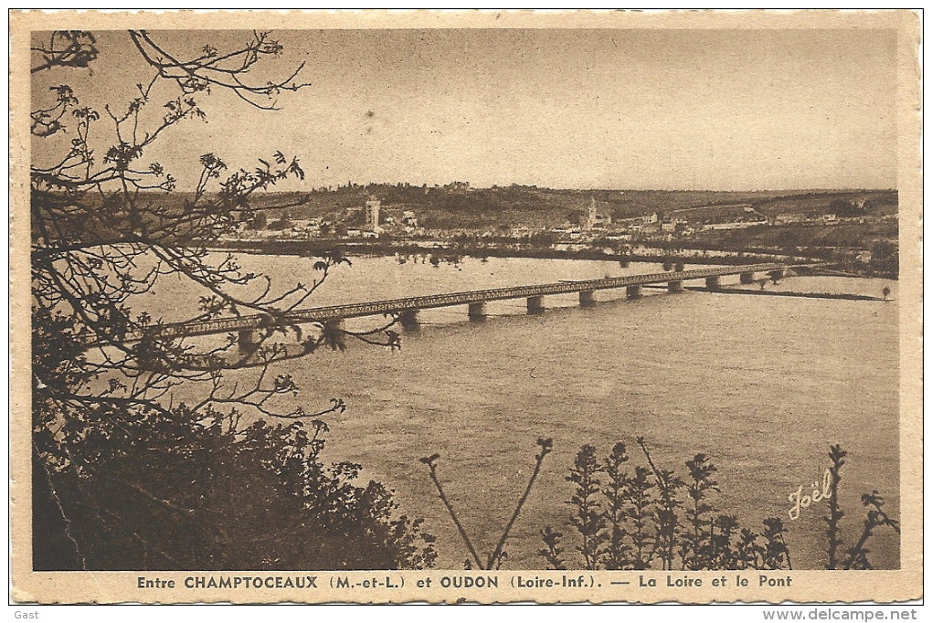 44 ENTRE  CHAMPTOCEAUX ET OUDON  LA  LOIRE   ET  LE  PONT - Oudon