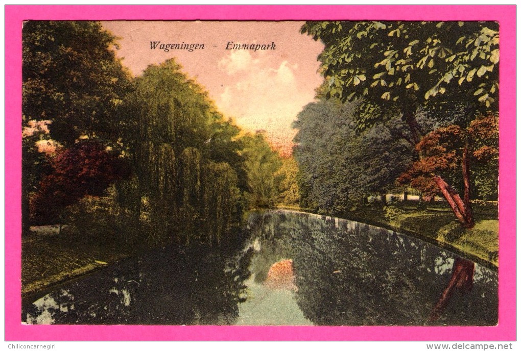 Wageningen - Emmapark - FIRMA VERMEER - 1951 - Colorisée - Wageningen