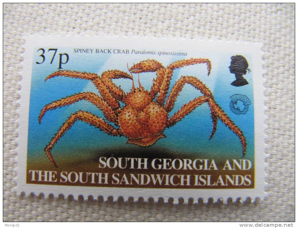 3-809 Polar Polaire Mer Océan Antarctic Antarctique South Pole Sud Crab Crabe Araignée Spiney - Araignées