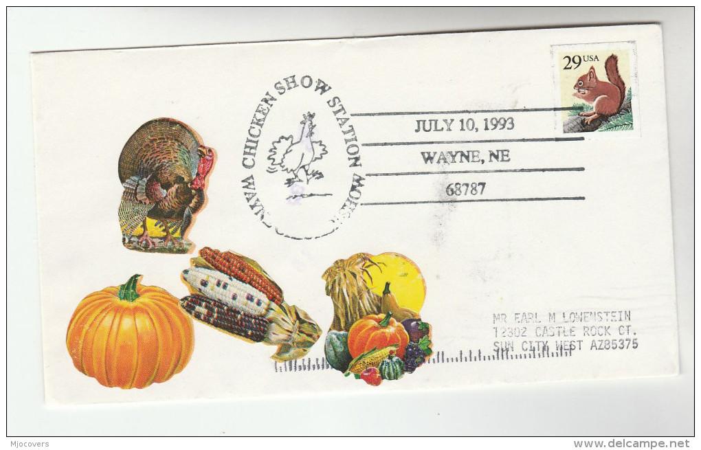 1993 CHICKEN SHOW Bird EVENT COVER Wayne Ne USA Stamps Birds  Food - Gallinaceans & Pheasants
