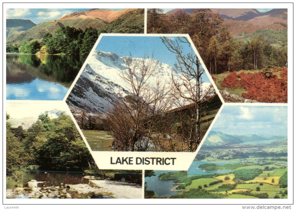 (PH 409) LAke District And Trees - Arbres