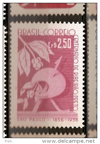 Brazil ** & 100 Years Of City Of Ribeirão Preto Foundation, São Paulo (638) - Unused Stamps