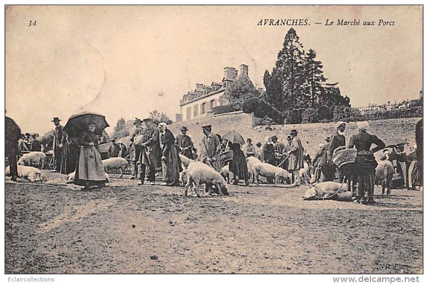 Avranches    50    Marché Aux Porcs - Avranches