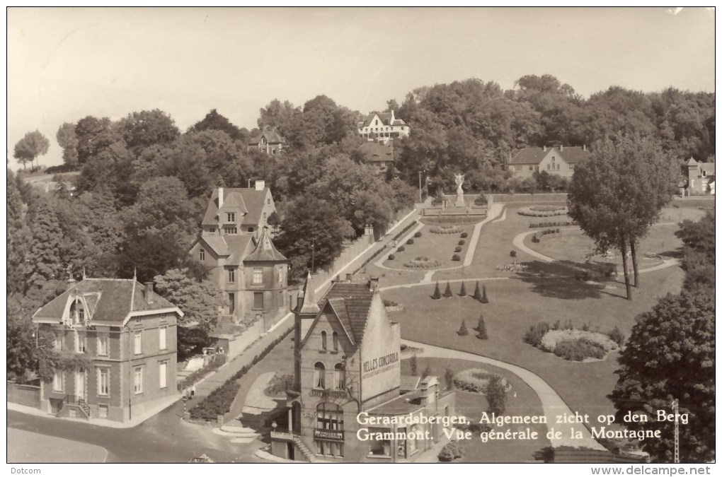 GERAARDSBERGEN -  Algemeen Zicht Op Den Berg - Geraardsbergen