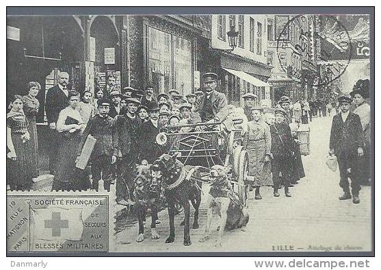 Reproduction De Carte Ancienne : Attelage De Chiens - Venters