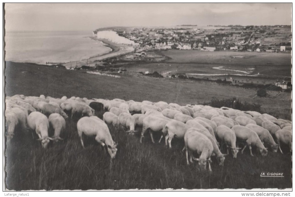 CRIEL SUR MER PANORAMA PRIS DES FALAISES D AVAL - Criel Sur Mer