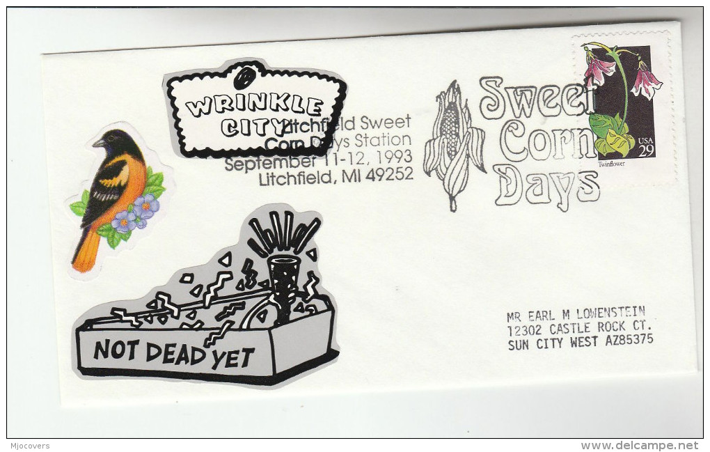 1993 LITCHFIELD Mi SWEET CORN DAYS Corn EVENT COVER USA Stamps Food Flower Farming Agriculture - Agriculture