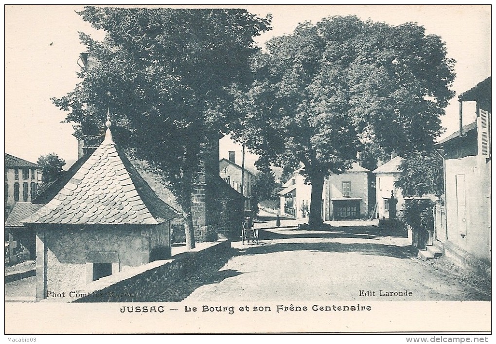 15  CANTAL :    JUSSAC         Le Bourg Et Son  Frêne Centenaire    Réf  141 - Jussac